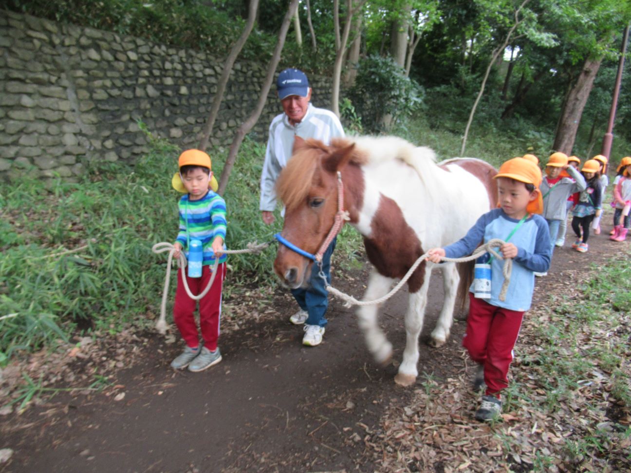 ポニー引き綱 清心幼稚園 ポニー引き綱 清心幼稚園