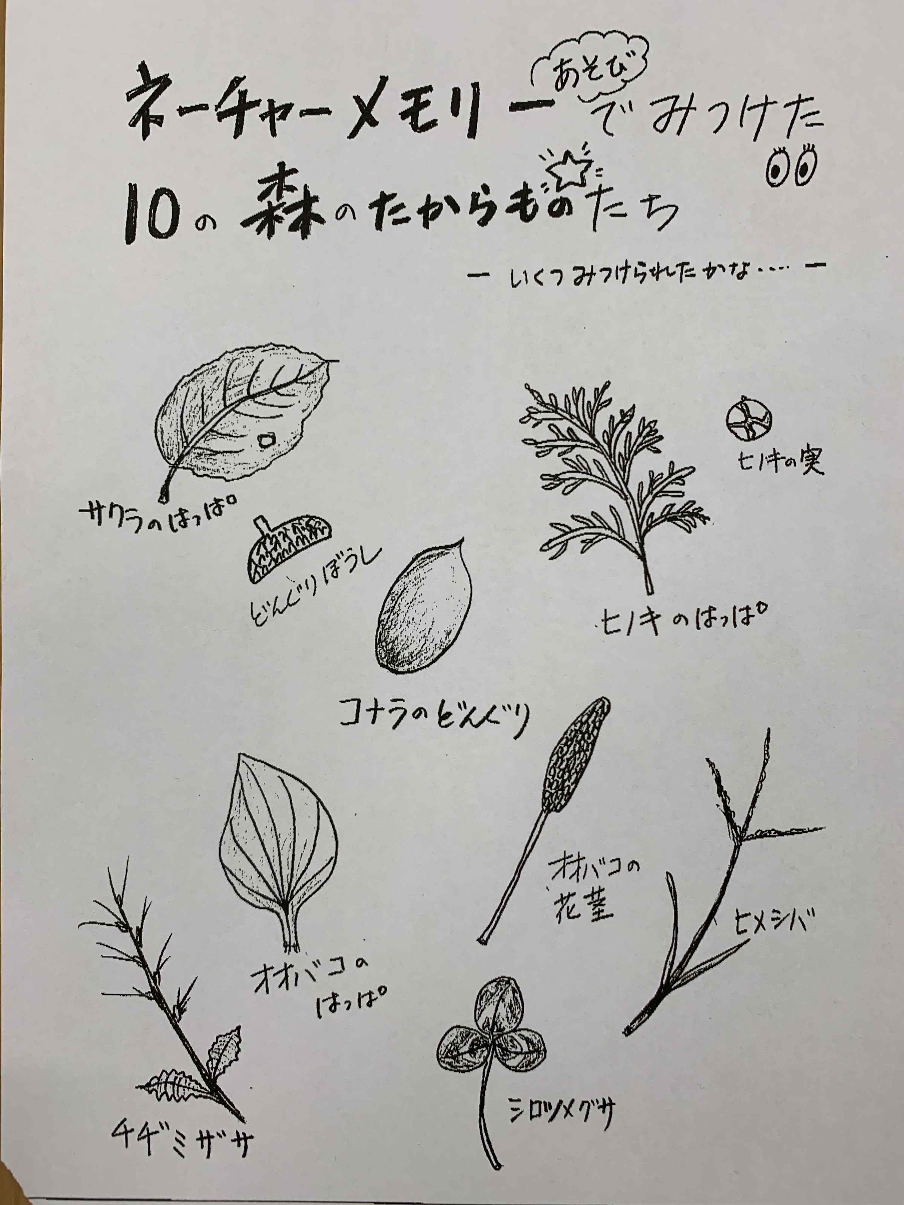 秋の遠足 清心幼稚園